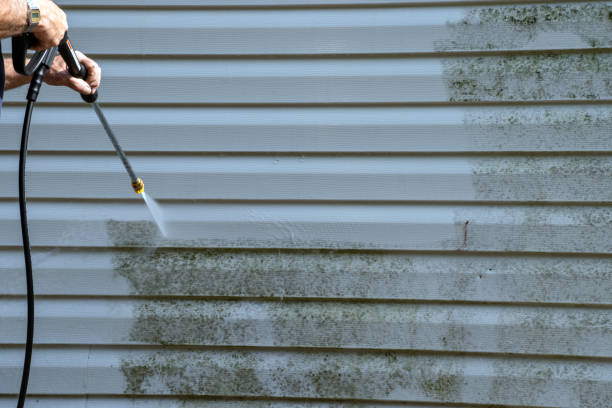 Affordable siding repair and maintenance services in Orfordville, WI